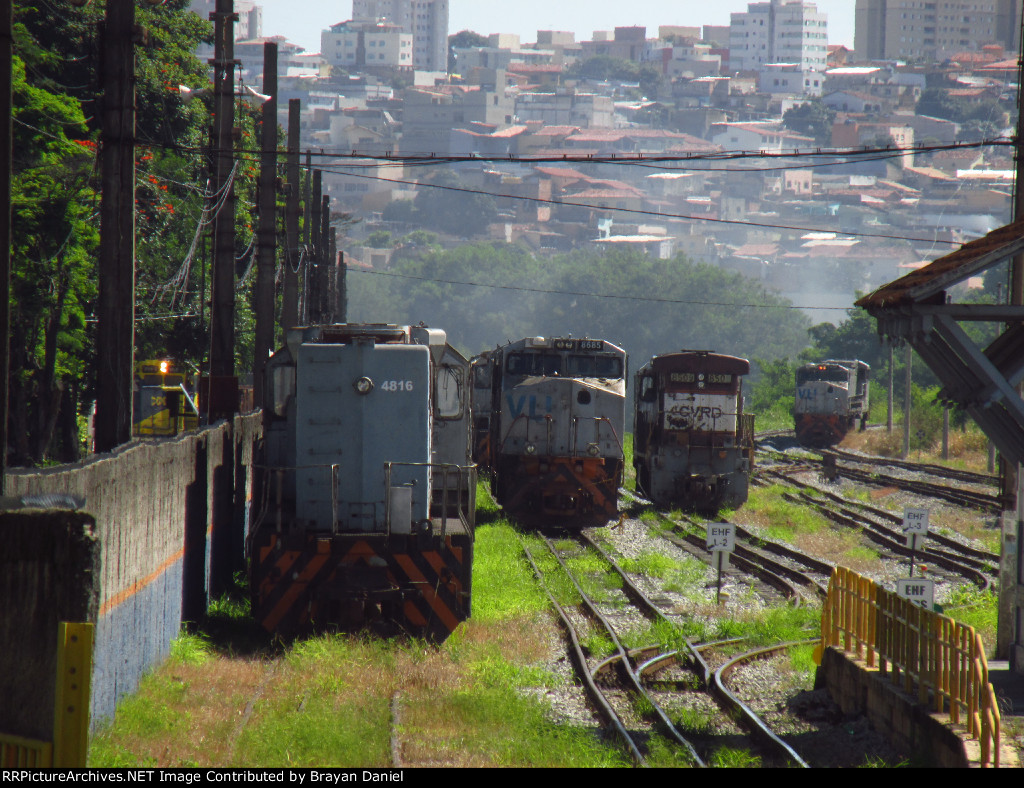 VLI 4816